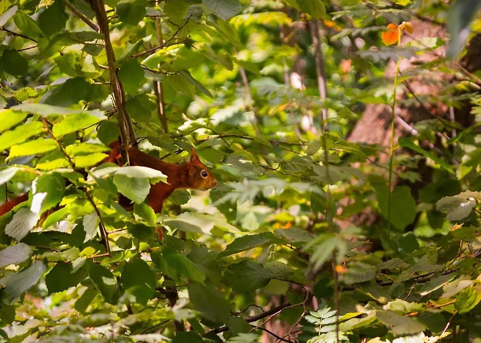 Cozy In Сasa de vacaciones Putten